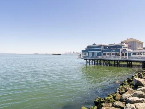 Muir Woods & Sausalito Tour 