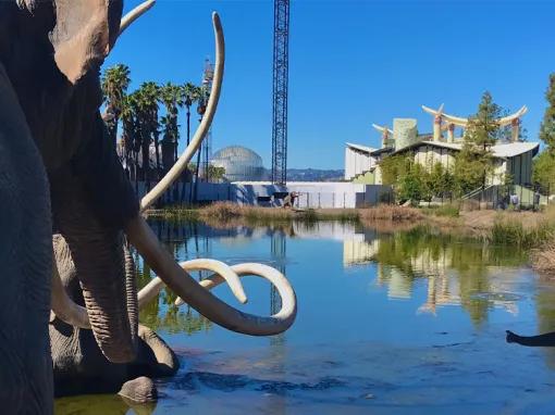 Hollywood Tour by Bike