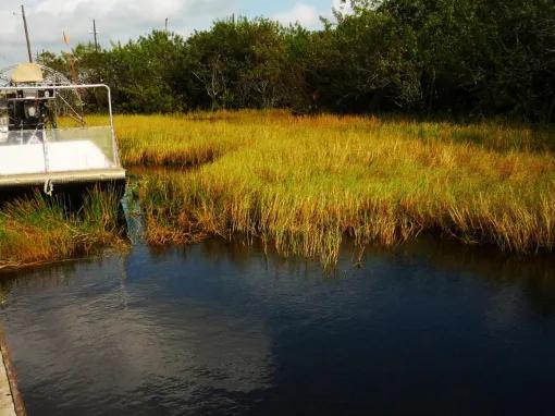 Everglades Airboat Adventure and Miami City Tour