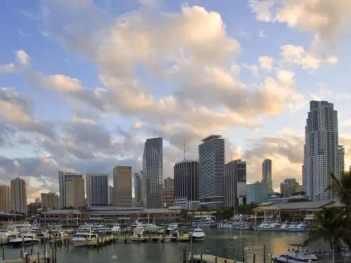 Everglades Airboat Adventure and Miami City Tour