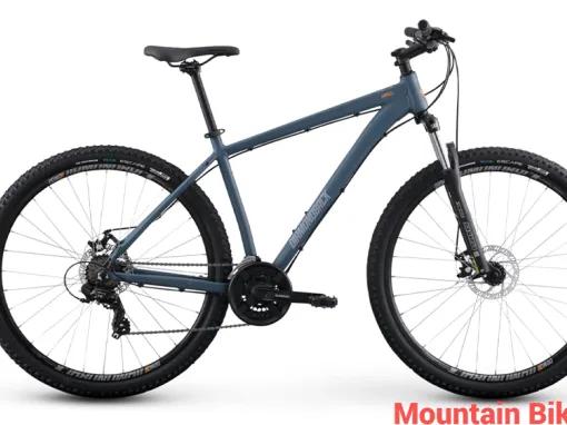 Los Angeles Bike Rentals