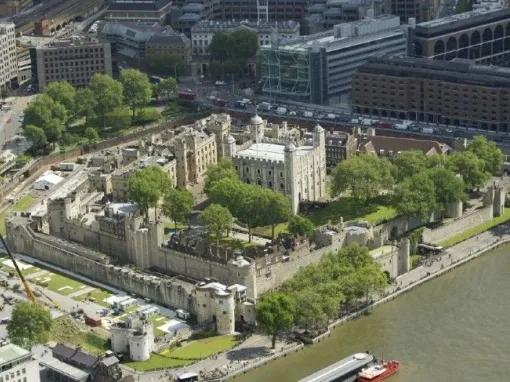Superbloom at Tower of London and entry to Tower of London