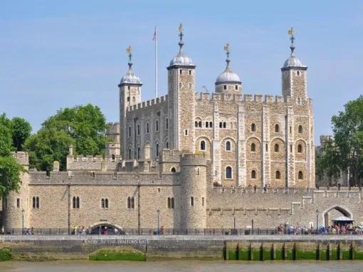 Superbloom at Tower of London and entry to Tower of London