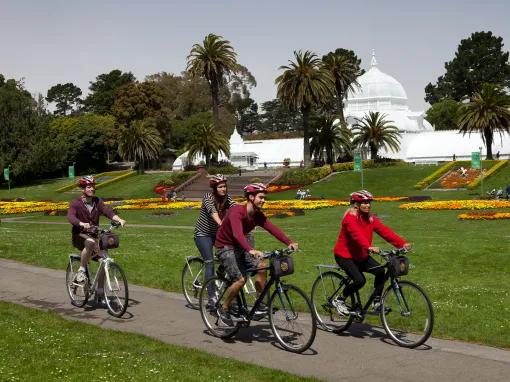 Bus & Bike Adventure