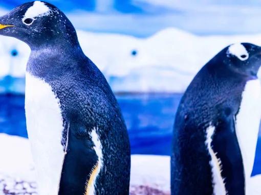 SEA LIFE London Aquarium