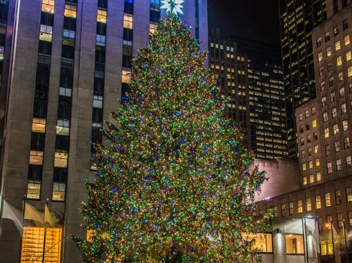 Dyker Heights Christmas