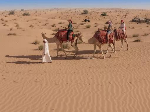 Bedouin Culture Safari