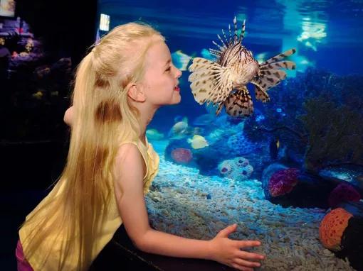 SEA LIFE London Aquarium