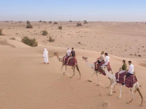 Heritage Safari by Camel 3