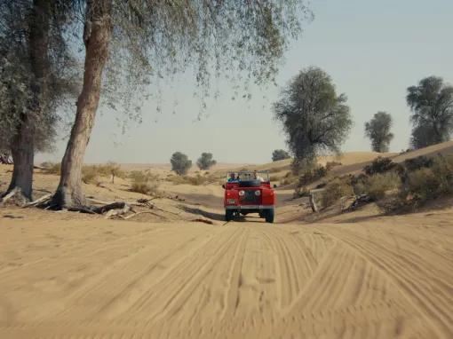 Heritage Safari by Vintage Land Rover 3