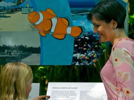 Green Island Discovery Cruise