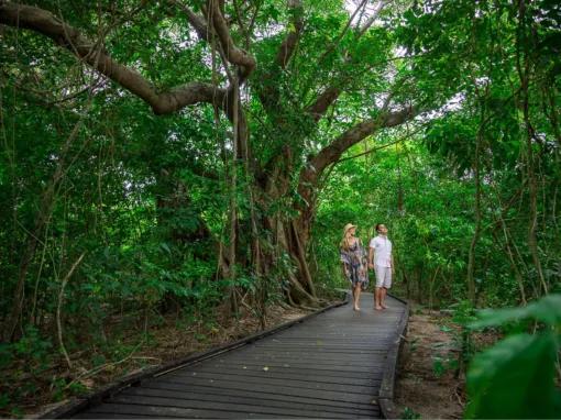 Green Island Discovery Cruise