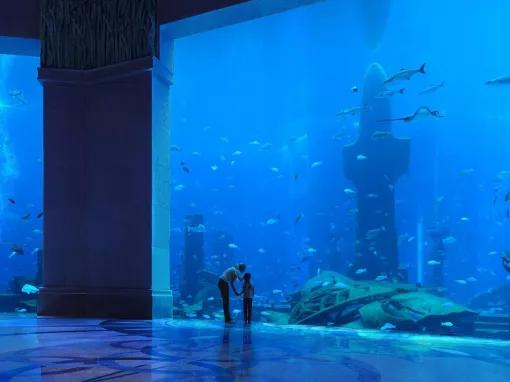 The Lost Chambers Aquarium in Dubai