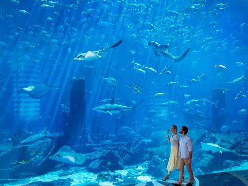 The Lost Chambers Aquarium in Dubai