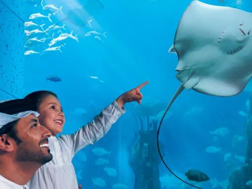 The Lost Chambers Aquarium in Dubai