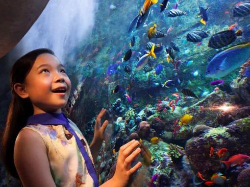 The Lost Chambers Aquarium in Dubai