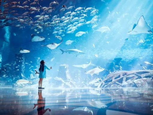 The Lost Chambers Aquarium in Dubai