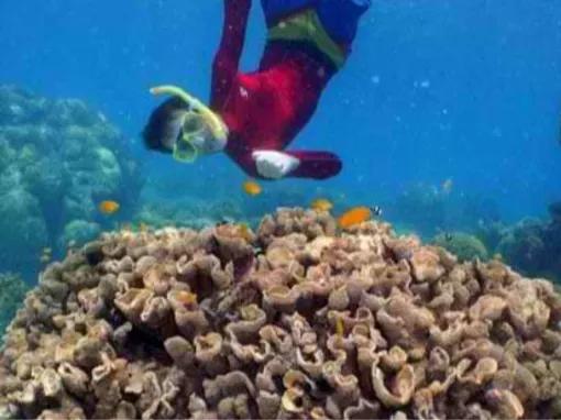 Luxury Ocean Spirit Cruise to Michaelmas Cay