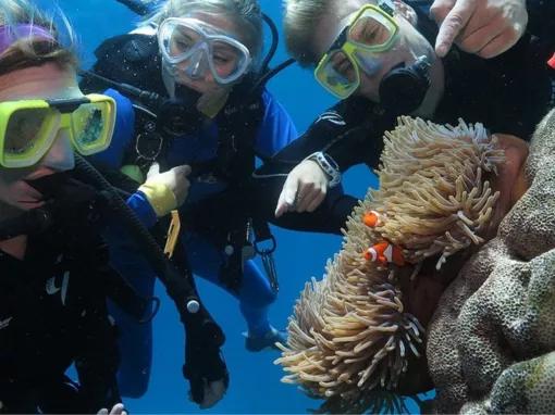 Outer Barrier Reef Adventure