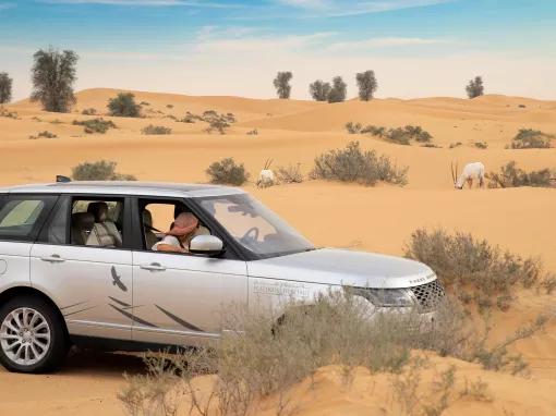 Platinum Heritage Safari in the Dubai Desert