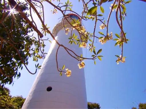 Wavedancer Low Isles Reef Cruise