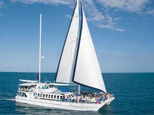 Wavedancer Low Isles Reef Cruise