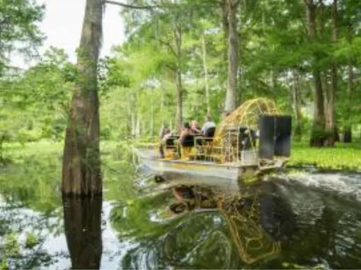 Airboat Swamp Tour from New Orleans