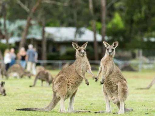 Grampians National Park Day Tour