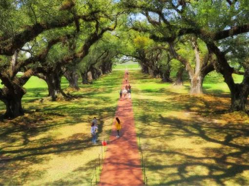 Oak Alley Plantation Tour