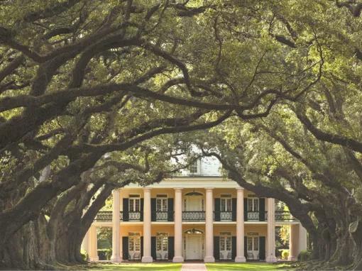 Oak Alley Plantation Tour