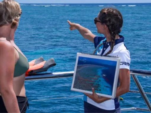 Silversonic Outer Barrier Reef