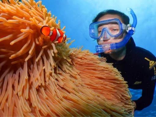 Silversonic Outer Barrier Reef