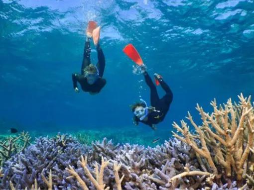 Silversonic Outer Barrier Reef