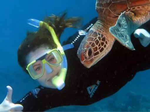 Silversonic Outer Barrier Reef