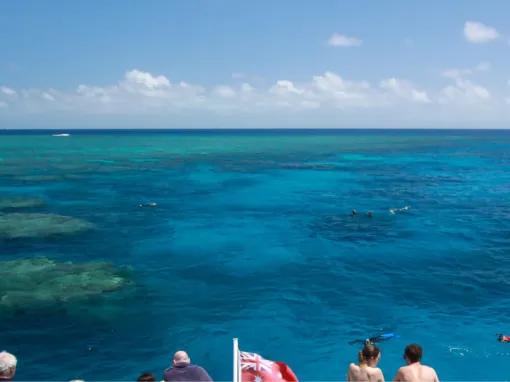 Silverswift Outer Barrier Reef 