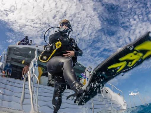 Silverswift Outer Barrier Reef 