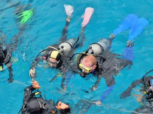 Silverswift Outer Barrier Reef 
