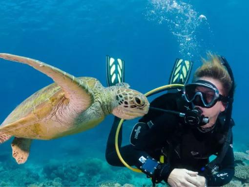 Silverswift Outer Barrier Reef 