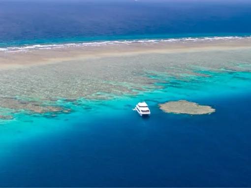 Silverswift Outer Barrier Reef 