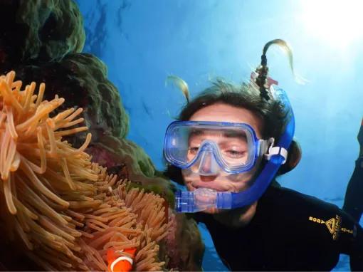 Silverswift Outer Barrier Reef 