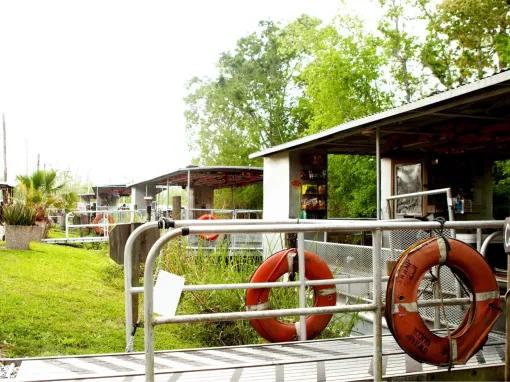 Swamp and Bayou Tour