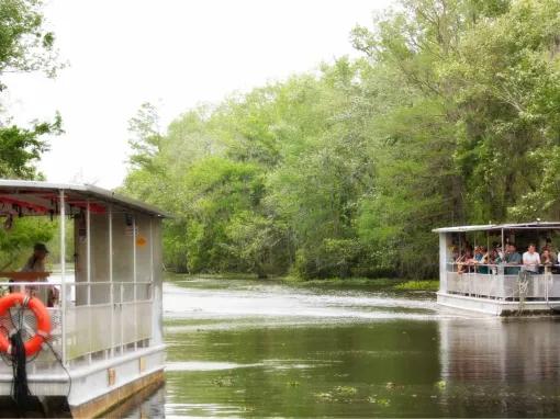 Swamp and Bayou Tour
