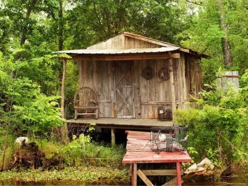 Swamp and Bayou Tour