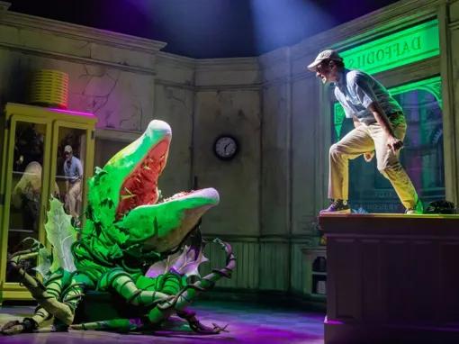 Little Shop of Horrors 