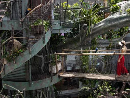 Woman walking amongst the rainforest at The Green Planet™ Dubai