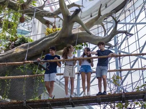 kids peering down into the rainforest at The Green Planet™ Dubai
