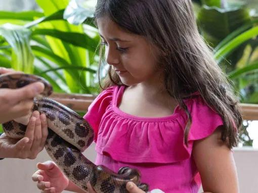 Girl handling snake at The Green Planet™ Dubai