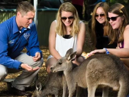 Blue Mountains Deluxe Day Tour