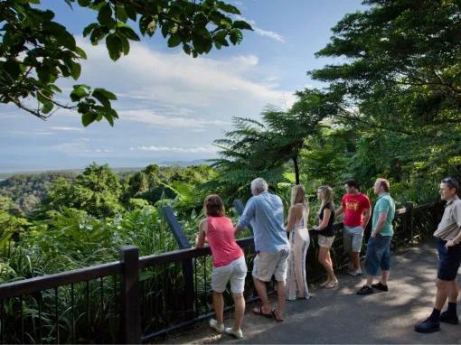 Cape Tribulation & Daintree Adventure