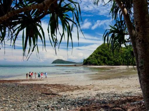 Cape Tribulation & Daintree Adventure
